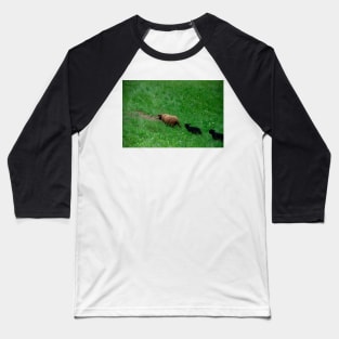 Sheep 2 Baseball T-Shirt